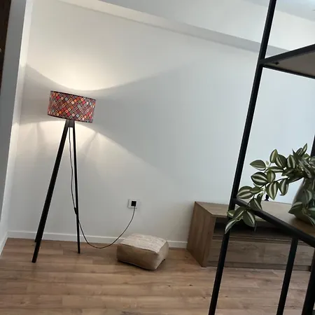 Apartment Ierdna Craiova